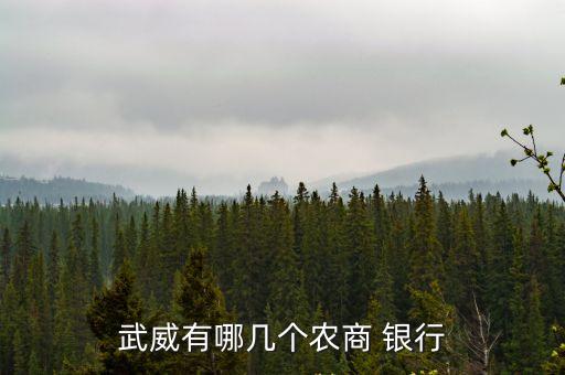 武威有哪幾個(gè)農(nóng)商 銀行