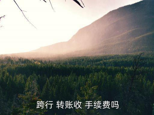 用網(wǎng)銀異地跨行轉(zhuǎn)賬手續(xù)費多少,網(wǎng)銀異地跨行轉(zhuǎn)賬手續(xù)費多少錢