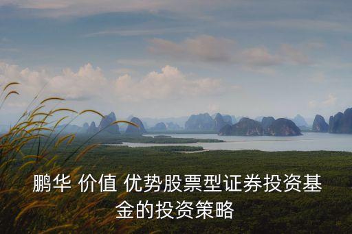  鵬華 價(jià)值 優(yōu)勢(shì)股票型證券投資基金的投資策略