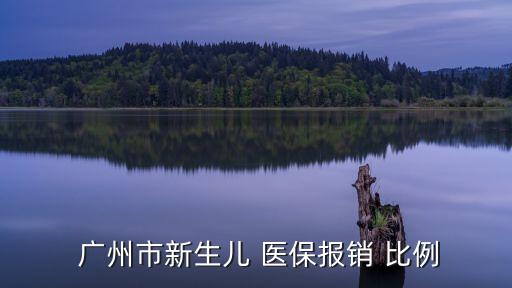  廣州市新生兒 醫(yī)保報(bào)銷(xiāo) 比例