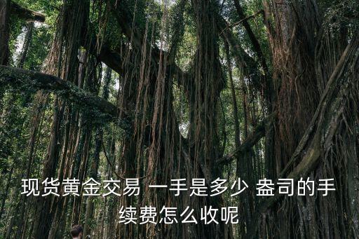 現(xiàn)貨黃金交易 一手是多少 盎司的手續(xù)費(fèi)怎么收呢