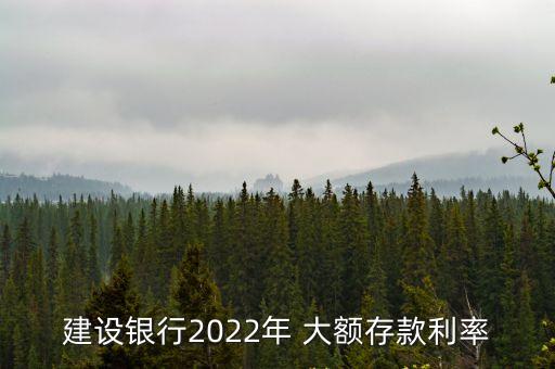 建設(shè)銀行2022年 大額存款利率