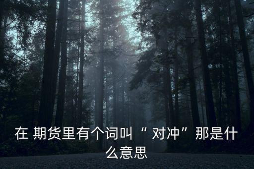 在 期貨里有個詞叫“ 對沖”那是什么意思