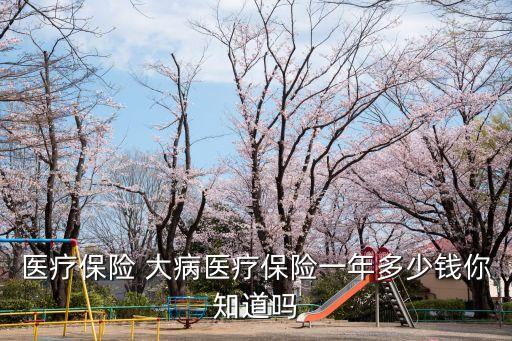 大病保險一般多少錢