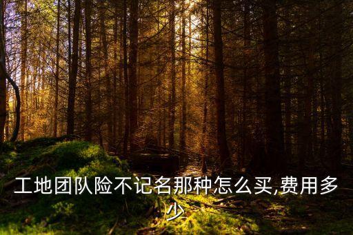 工地團(tuán)隊險不記名那種怎么買,費用多少
