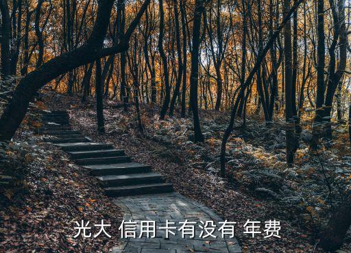 光大信用白金?？曩M(fèi)多少錢