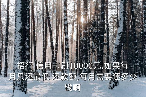 信用卡1萬(wàn)分期還款多少,3萬(wàn)塊信用卡分期還款利息