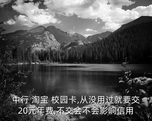 中銀淘寶校園卡年費多少