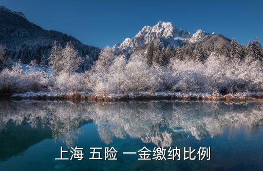 上海五險一金個人交多少,自己可以交五險一金嗎