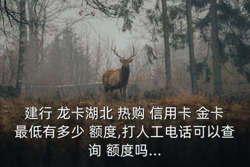 龍卡信用卡熱購卡金卡額度是多少