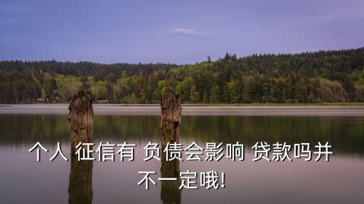 征信多少貸款算負(fù)債高,貸款不看征信不看負(fù)債 容易通過的