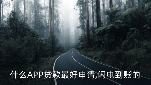 什么APP貸款最好申請(qǐng),閃電到賬的