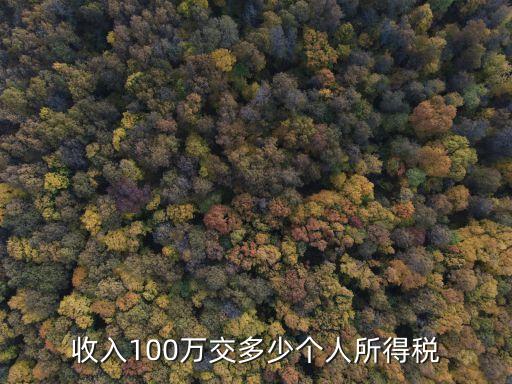 100萬繳稅多少,公司賺了100萬要交多少稅