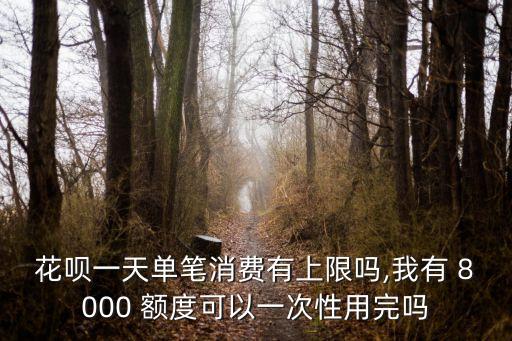 花唄一天單筆消費有上限嗎,我有 8000 額度可以一次性用完嗎
