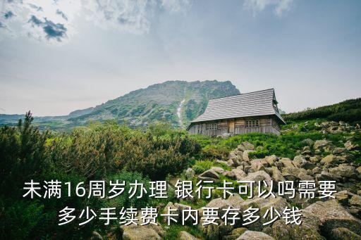 兒童銀行卡存多少錢啊,銀行卡兒童可以辦理嗎