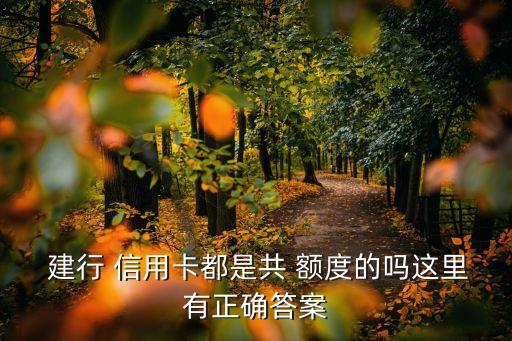  建行 信用卡都是共 額度的嗎這里有正確答案