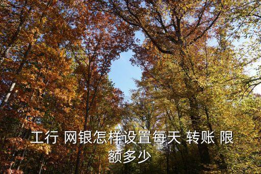 工行網(wǎng)銀轉(zhuǎn)賬最大限額是多少錢(qián),工行企業(yè)網(wǎng)銀轉(zhuǎn)賬限額怎么調(diào)整