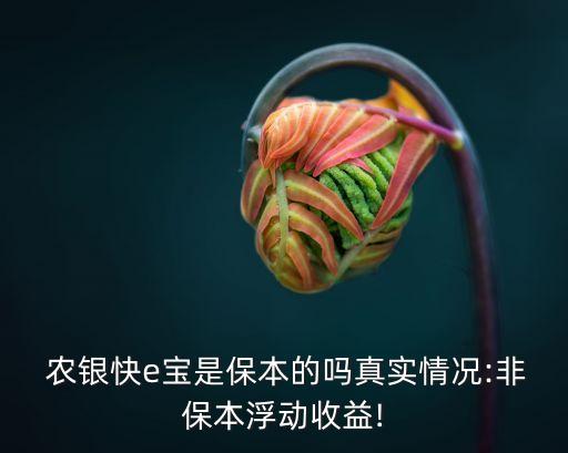  農(nóng)銀快e寶是保本的嗎真實(shí)情況:非保本浮動(dòng)收益!