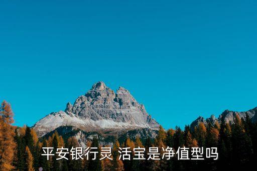 平安零活寶多少起賣