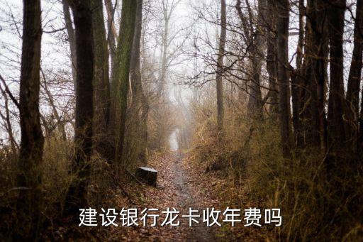 建行金卡管理費多少,建行管理費一年多少錢