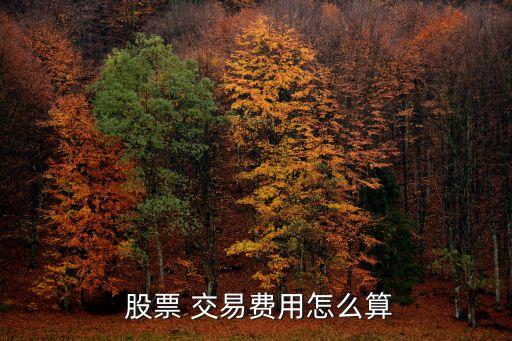  股票 交易費用怎么算