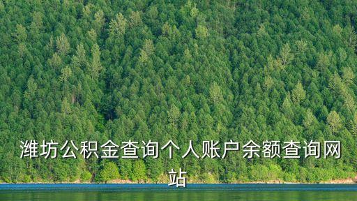  濰坊公積金查詢個人賬戶余額查詢網站