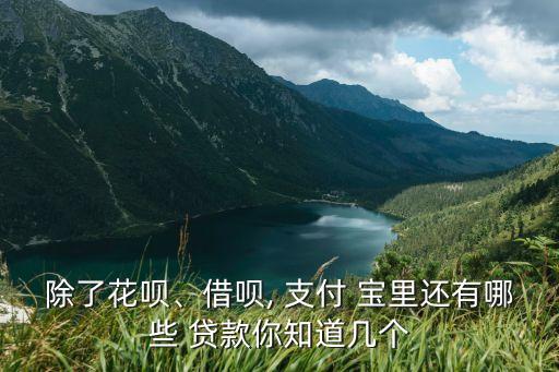 支付寶里有多少貸款嗎