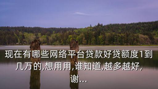 現(xiàn)在有哪些網(wǎng)絡(luò)平臺(tái)貸款好貸額度1到幾萬(wàn)的,想用用,誰(shuí)知道,越多越好,謝...