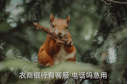 農(nóng)商銀行有客服 電話嗎急用