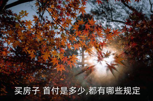 邯鄲買房首付多少錢2015新年