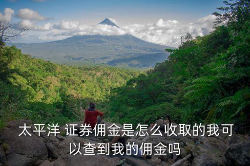  太平洋 證券傭金是怎么收取的我可以查到我的傭金嗎