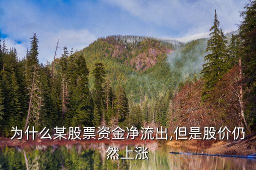 為什么某股票資金凈流出,但是股價(jià)仍然上漲