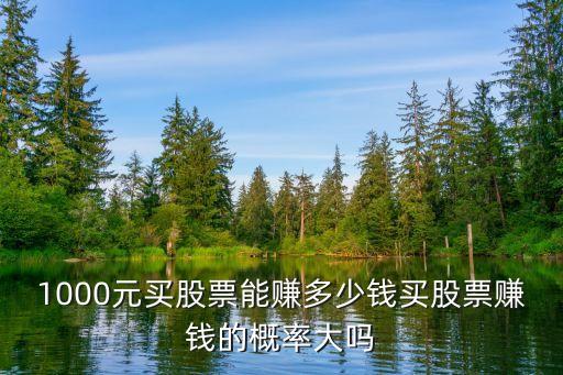 1000元買股票能賺多少錢買股票賺錢的概率大嗎
