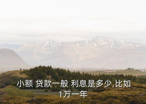 民間的小額貸款利息多少,國家小額貸款利息最高多少