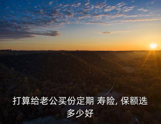 打算給老公買份定期 壽險, 保額選多少好