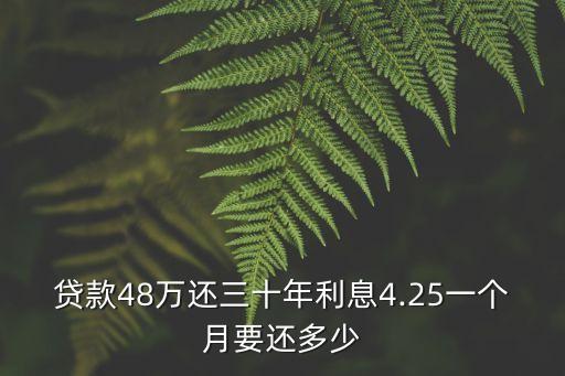 貸款48萬還三十年利息4.25一個(gè)月要還多少