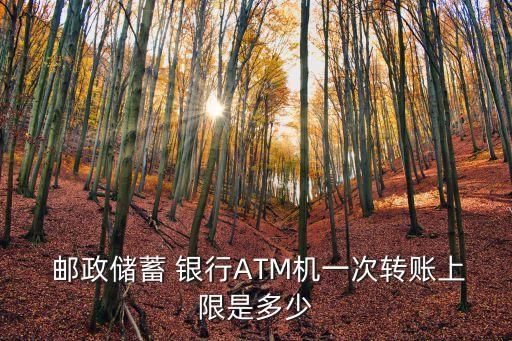  郵政儲蓄 銀行ATM機一次轉(zhuǎn)賬上限是多少
