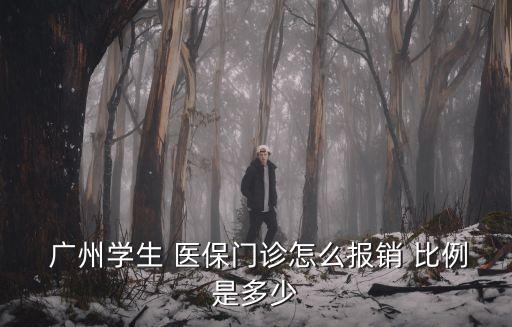  廣州學(xué)生 醫(yī)保門(mén)診怎么報(bào)銷(xiāo) 比例是多少