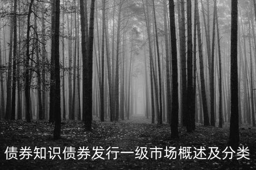 債券知識(shí)債券發(fā)行一級(jí)市場(chǎng)概述及分類