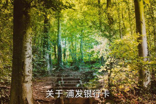 浦發(fā)銀行卡多少位,浦發(fā)信用卡95588