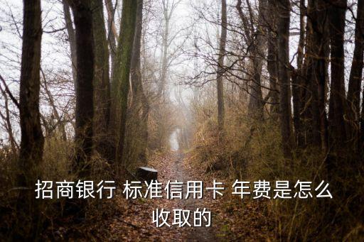 招商銀行標(biāo)準(zhǔn)普卡年費(fèi)多少錢