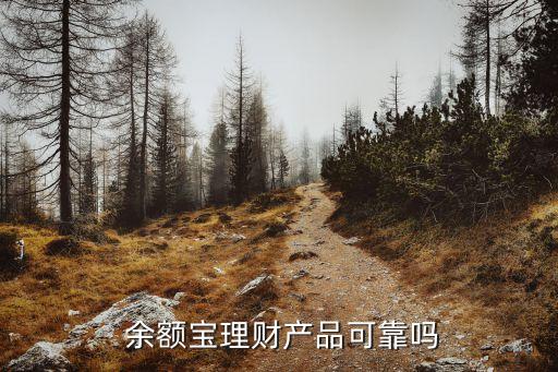 余額寶融資多少,寶能平安銀行有多少融資
