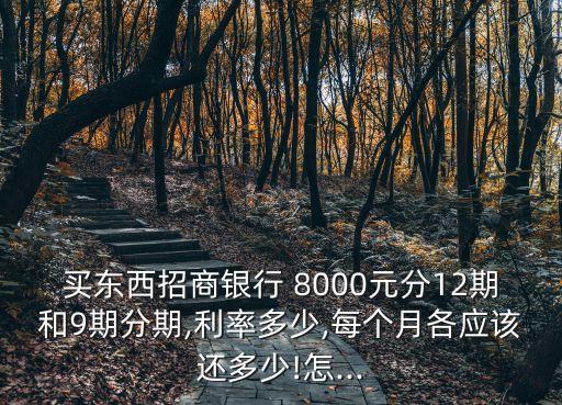 信用卡8000 一年的利息是多少錢