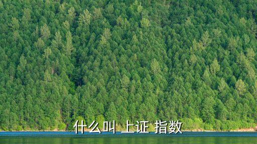 什么叫 上證 指數(shù)