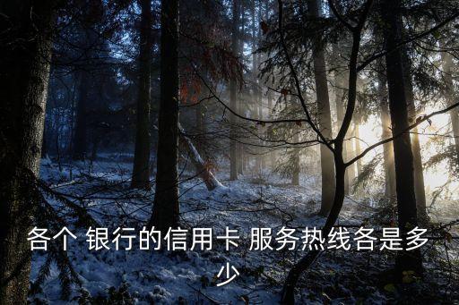 工商銀行24小時(shí)服務(wù)電話是多少,長(zhǎng)春工商銀行人工服務(wù)電話