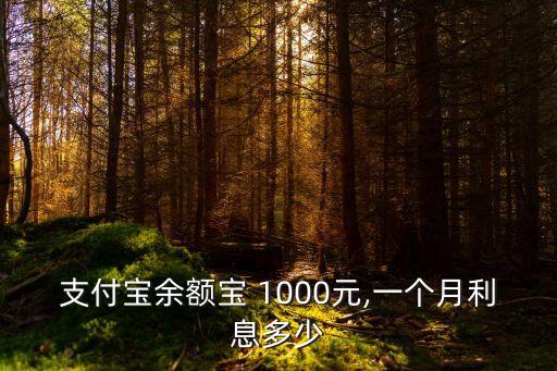 支付寶余額寶 1000元,一個月利息多少