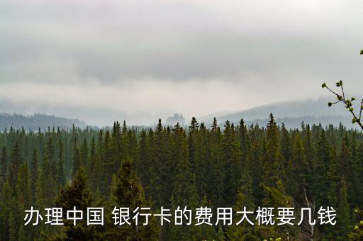 新開銀行卡要多少錢,新開的銀行卡為什么轉錢進去