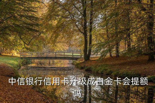 中信普卡提升額度一般多少錢,中信標(biāo)準(zhǔn)普卡額度多少