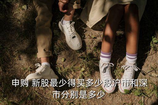 一般新股申購可以買入多少股,新股申購一般中多少