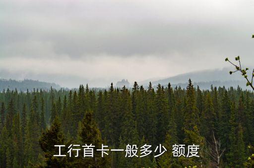 工商銀行普卡最低額度是多少